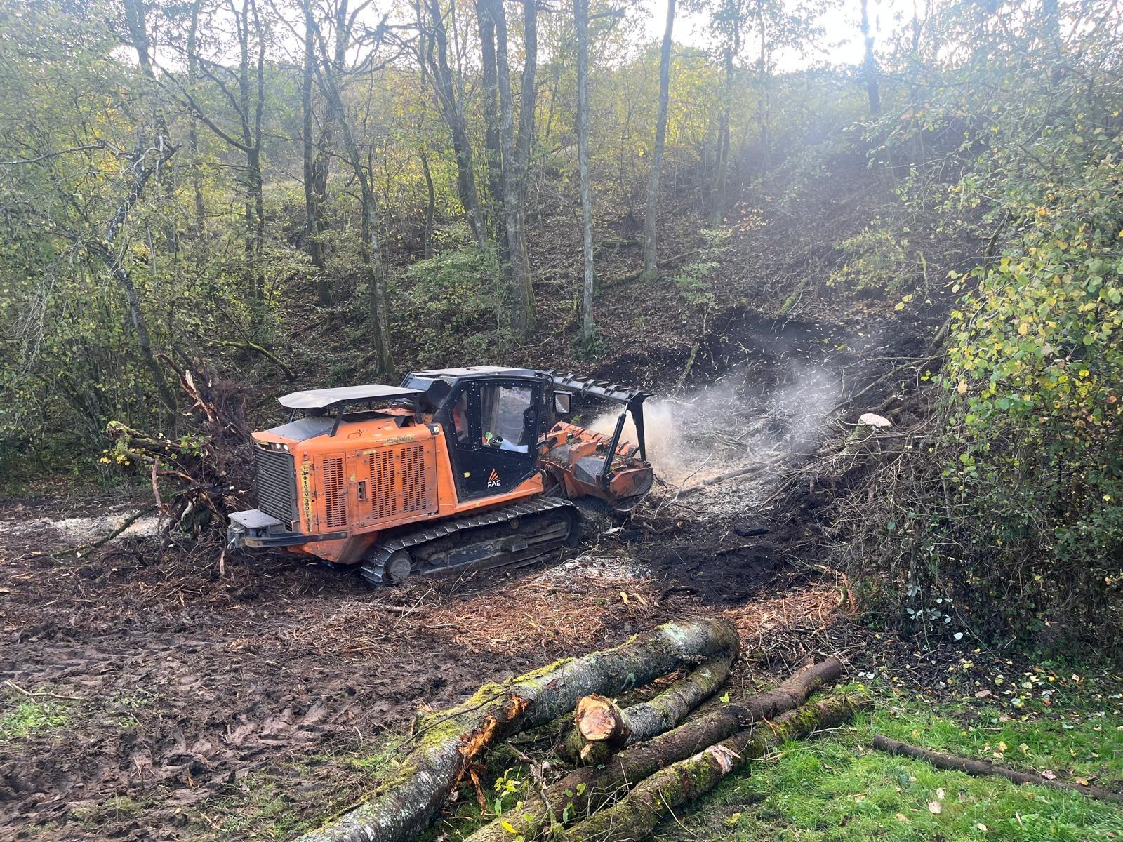 Broyage forestier dans le Jura — SAS POLYVIER